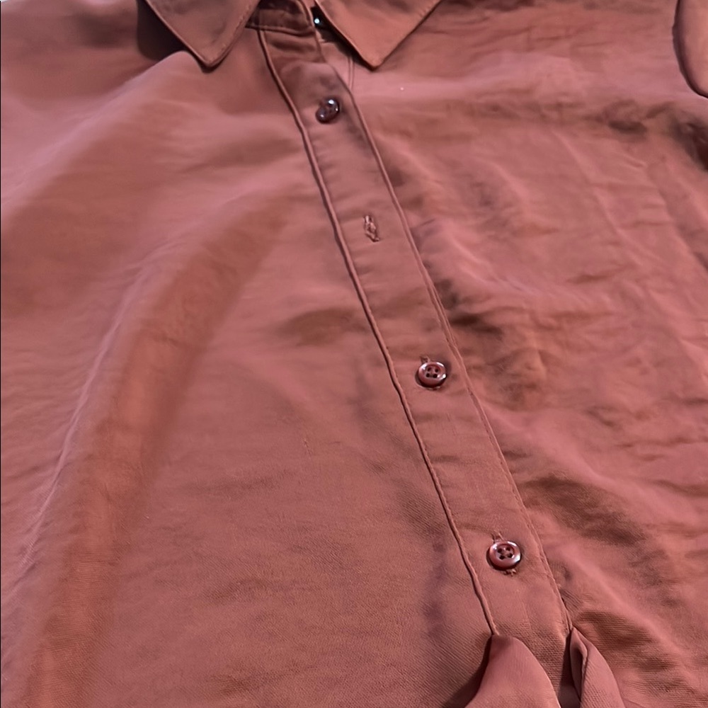 Rust Button-Up Blouse - Picture 2 of 7